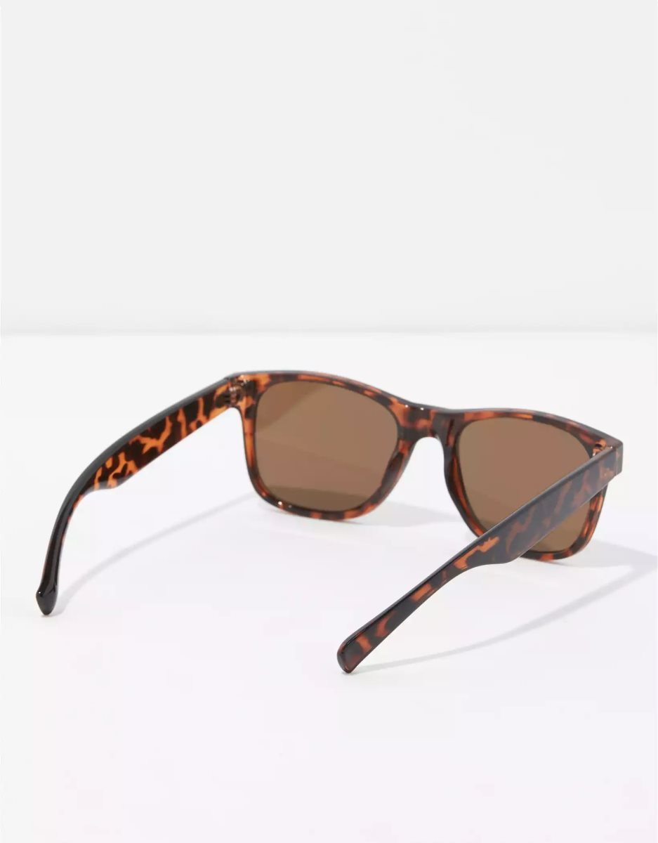 American Eagle AEO Tortoise Klassische Sonnenbrille Herren Mehrfarbig | JBHIS9705