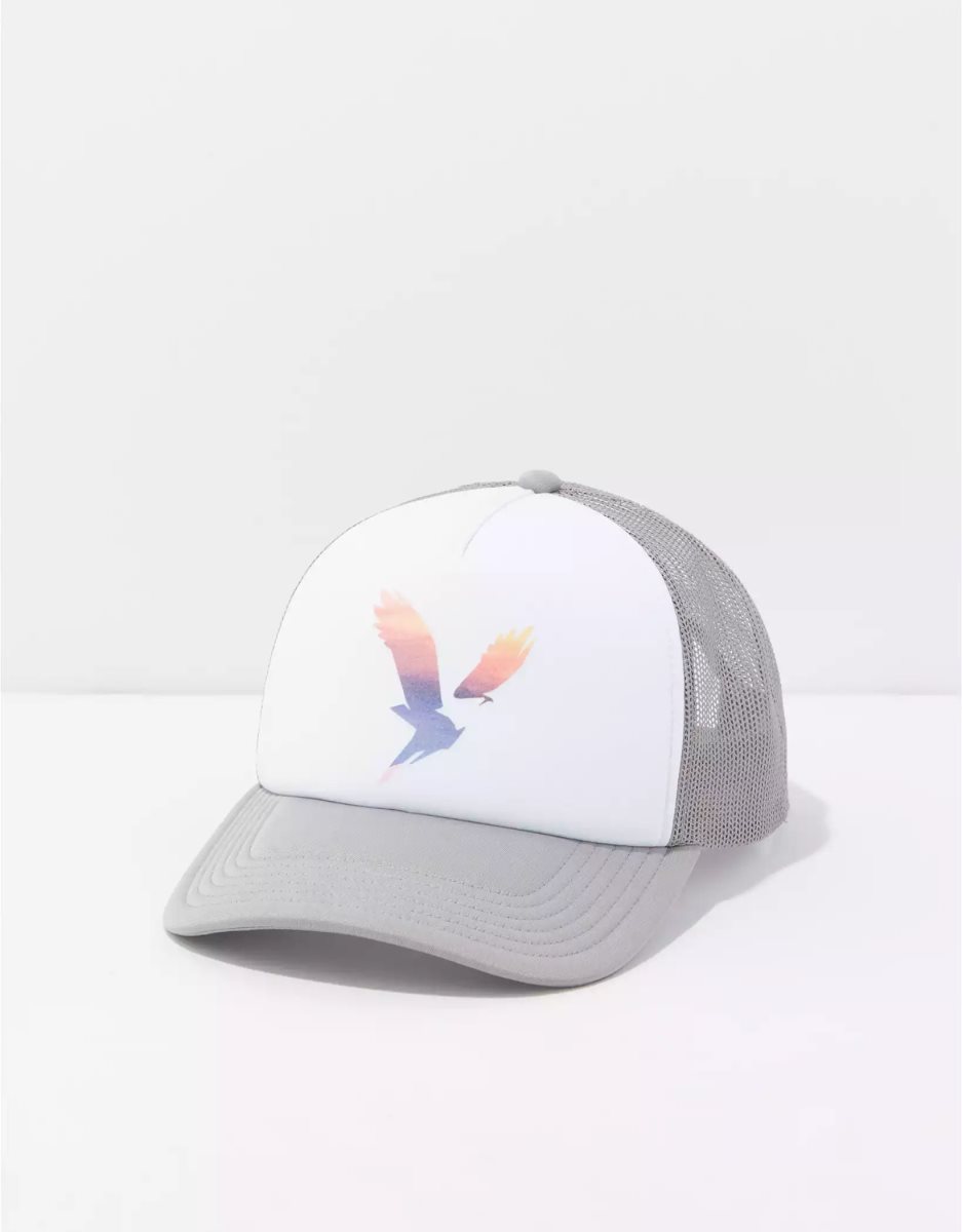 American Eagle AE Graphic Trucker Hüte Herren Dunkelgrau | TCPJU5098