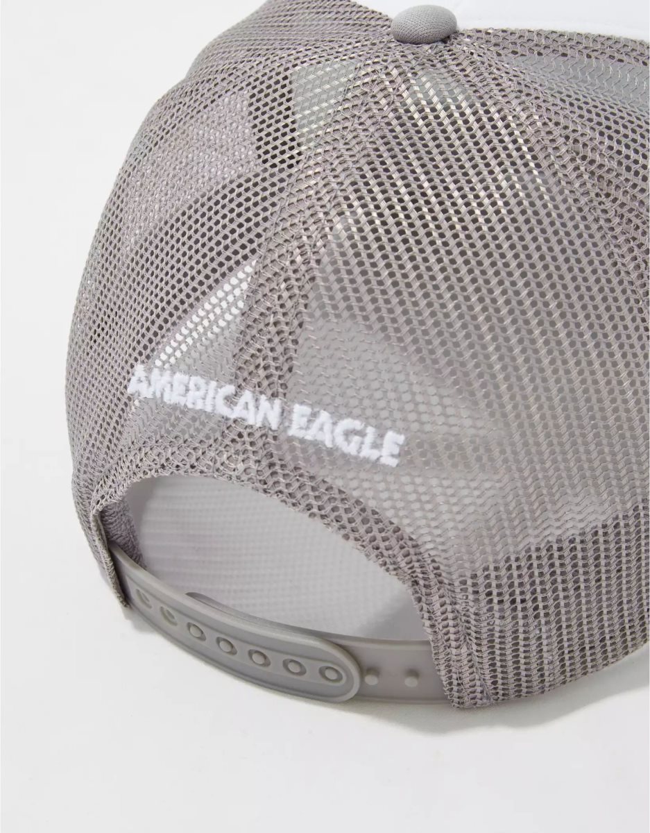 American Eagle AE Graphic Trucker Hüte Herren Dunkelgrau | TCPJU5098